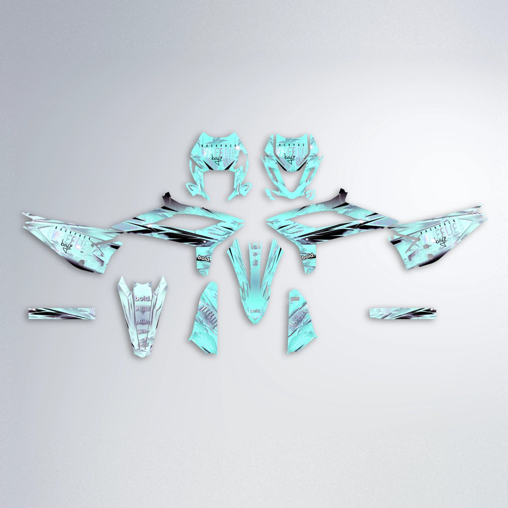 OASIS Beta graphics kit parts layout in Mint