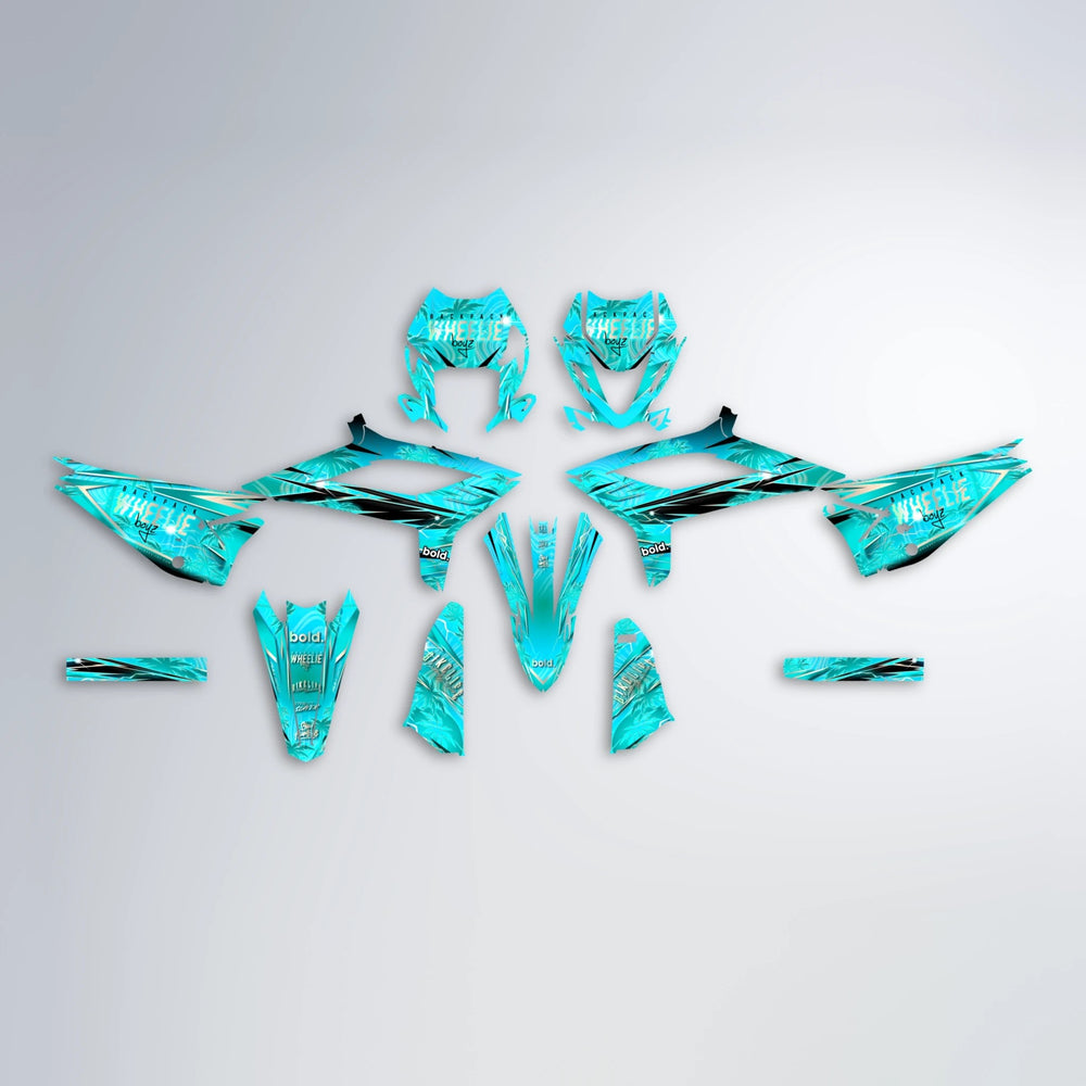 OASIS Beta graphics kit parts layout in Teal