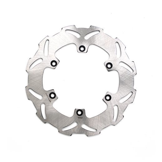 Rear Brake Disc