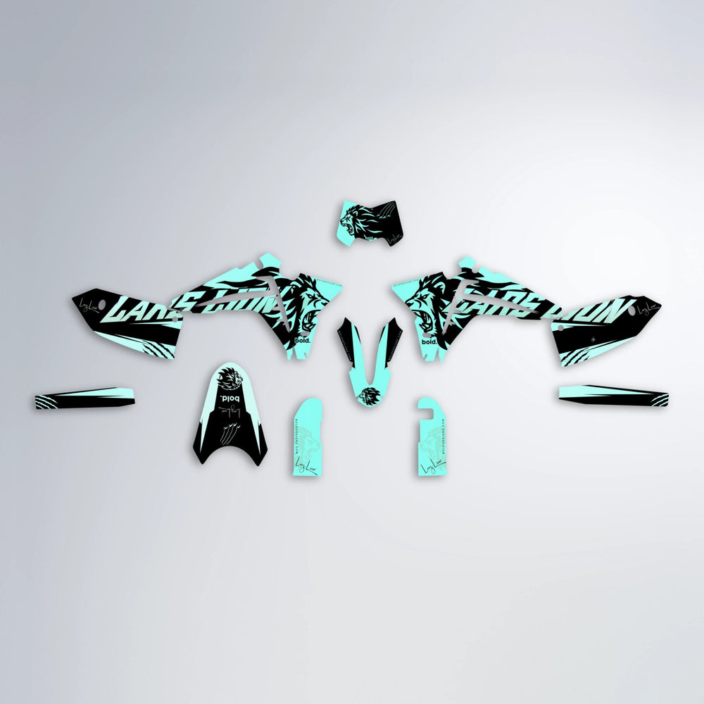 LARSLION Fantic graphics kit parts layout in Mint